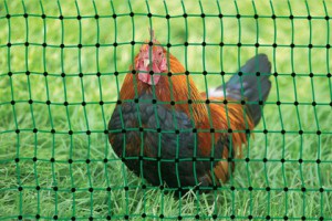 Weidezaun für Hühner der Marke Kerbl